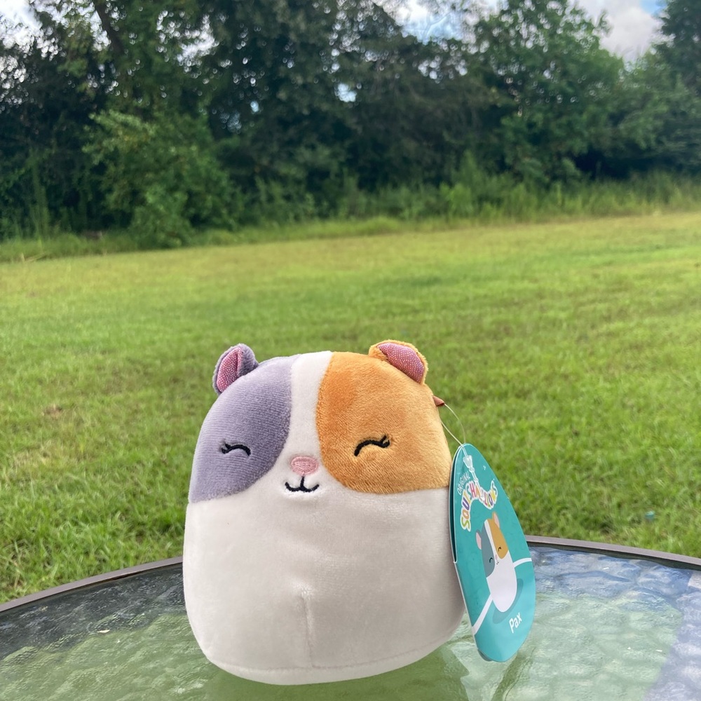 SQUISHMALLOW Pax the Hamster 4.5”NWT